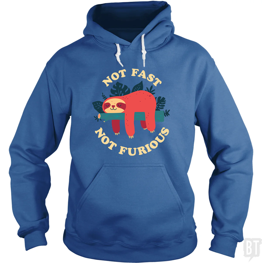 Funny Sloth Not Fast Not Furious Hoodie