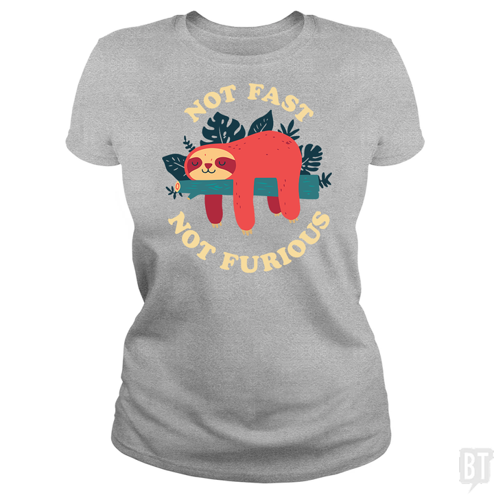 Funny Sloth Not Fast Not Furious