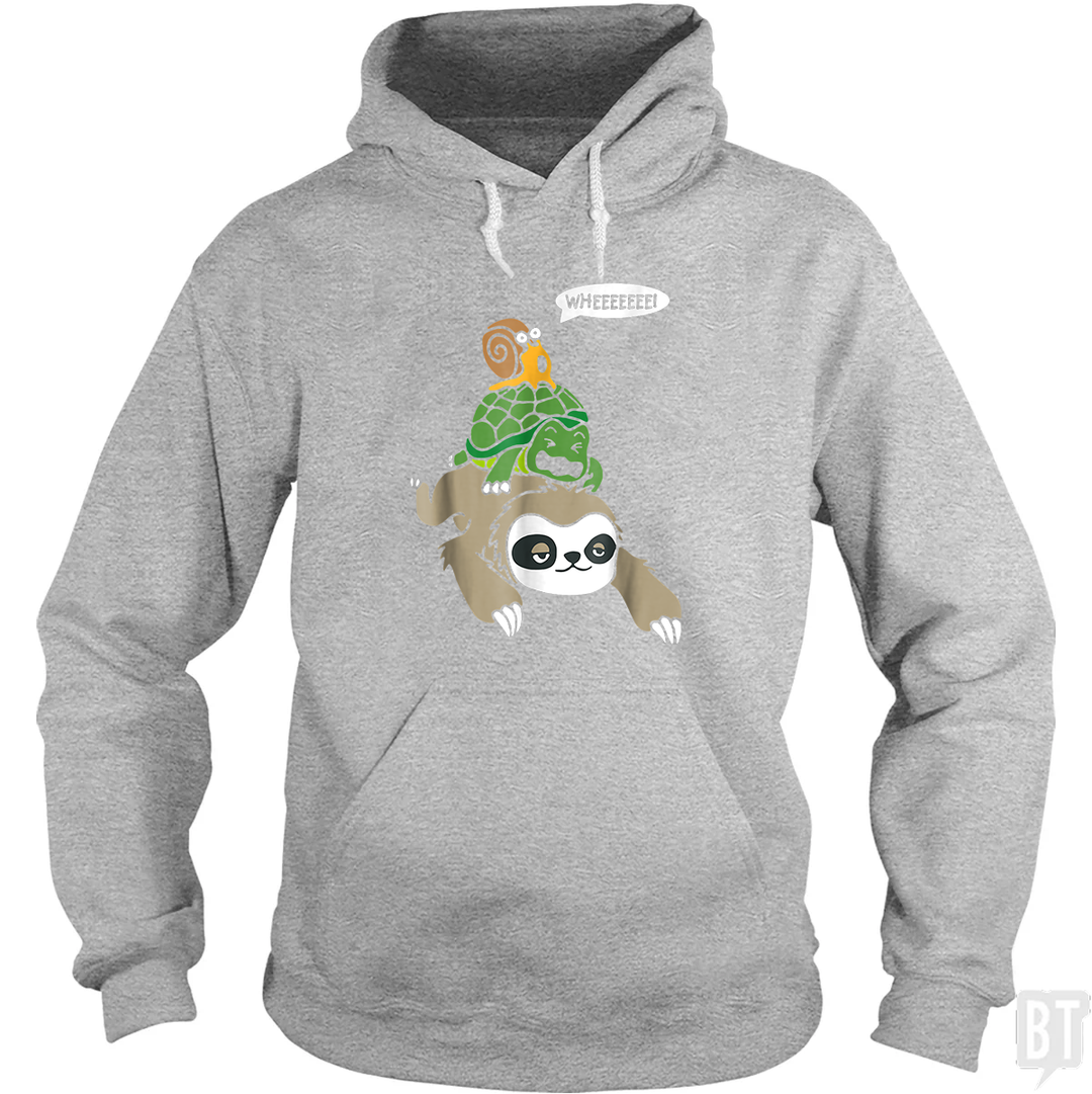 Funny Snail Ridding Turtle Ridding Sloth Hoodie