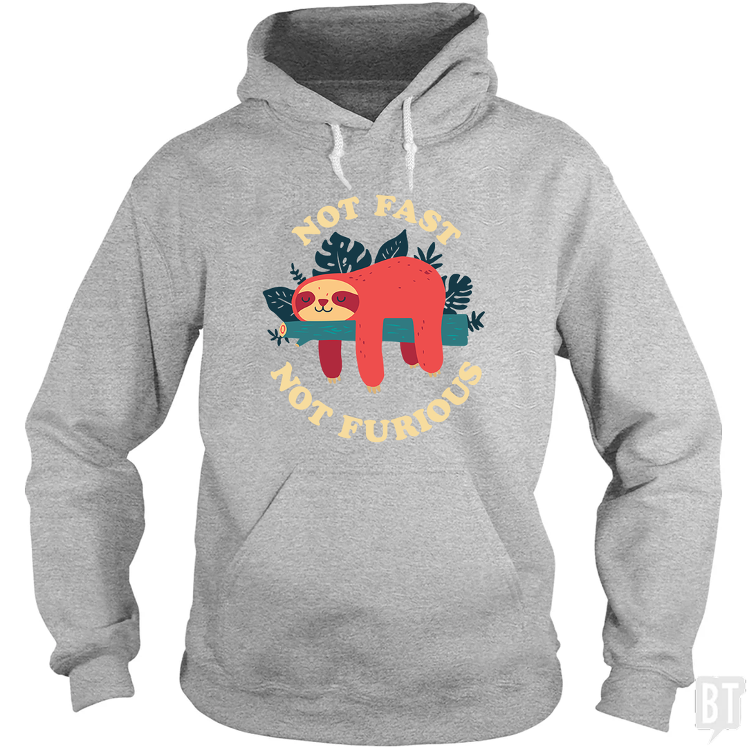 Funny Sloth Not Fast Not Furious Hoodie