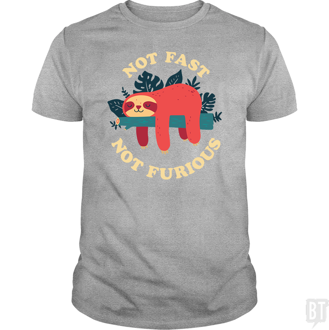 Funny Sloth Not Fast Not Furious