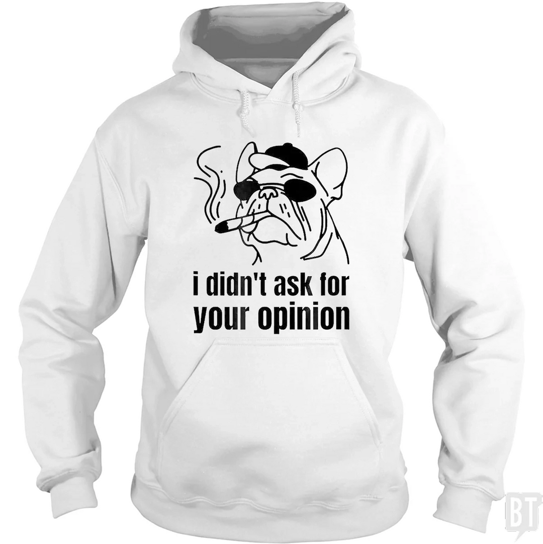 Didn't Ask For Your Opinion Hoodie