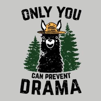 Only You Can Prevent Drama Hoodie