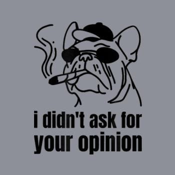 Didn't Ask For Your Opinion Hoodie