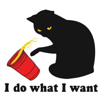 Do What I Want Hoodie