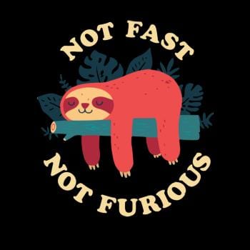 Funny Sloth Not Fast Not Furious Hoodie