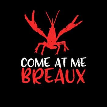 Crawfish Come At Me Hoodie