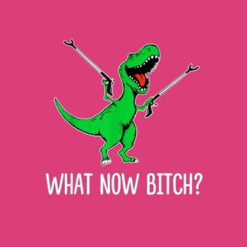 What Now Bitch T-Rex Hoodie