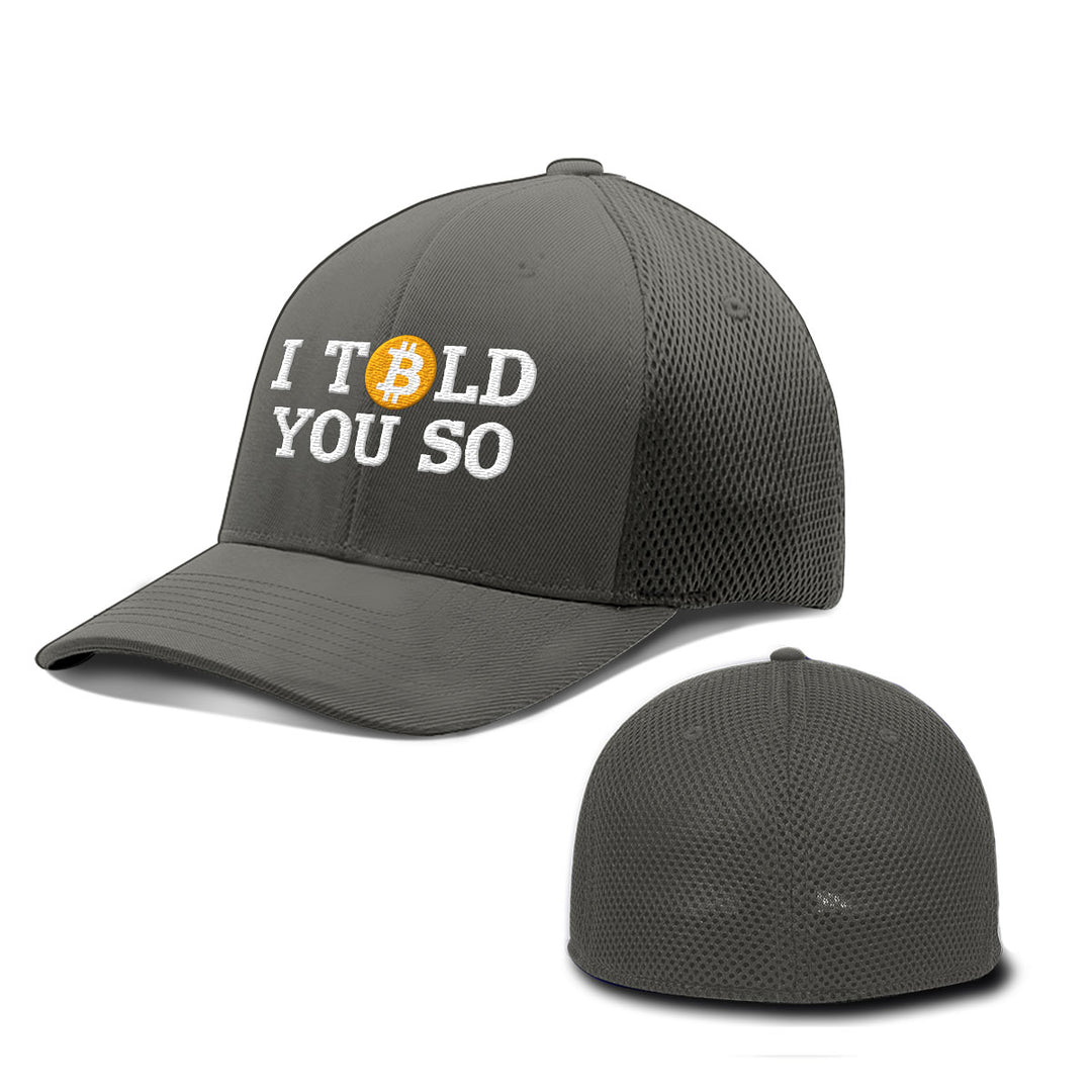 Bitcoin I Told You So Hats - BustedTees.com
