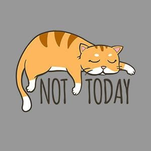 Not Today Crazy Cat - BustedTees.com