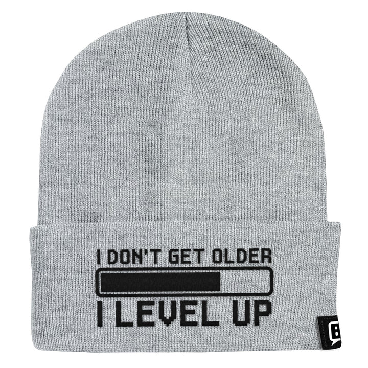 I Don't Get Older I Level Up Beanies - BustedTees.com