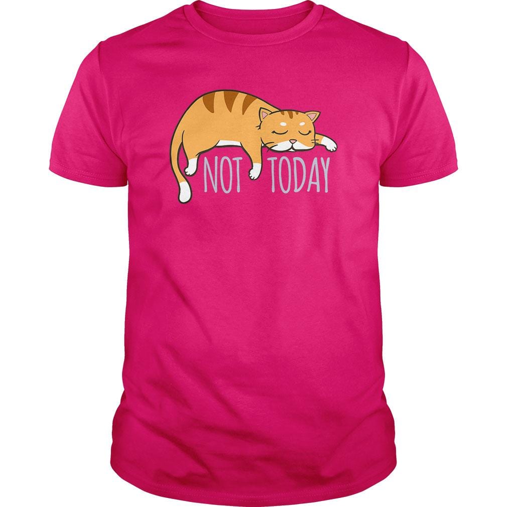 Not Today Crazy Cat - BustedTees.com