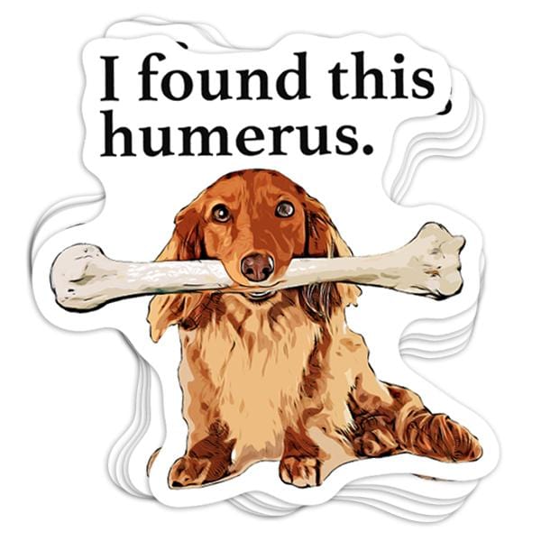 Humerus Vinyl Sticker - BustedTees.com