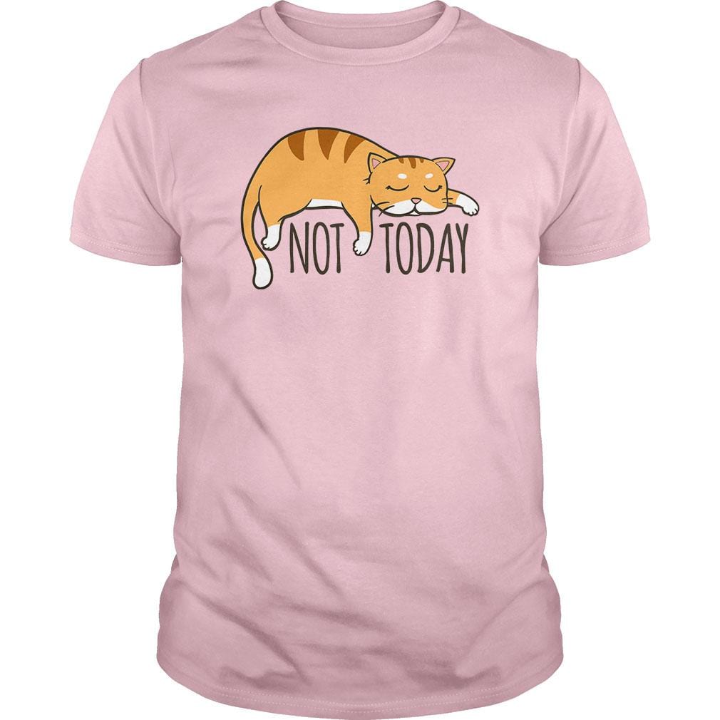 Not Today Crazy Cat - BustedTees.com