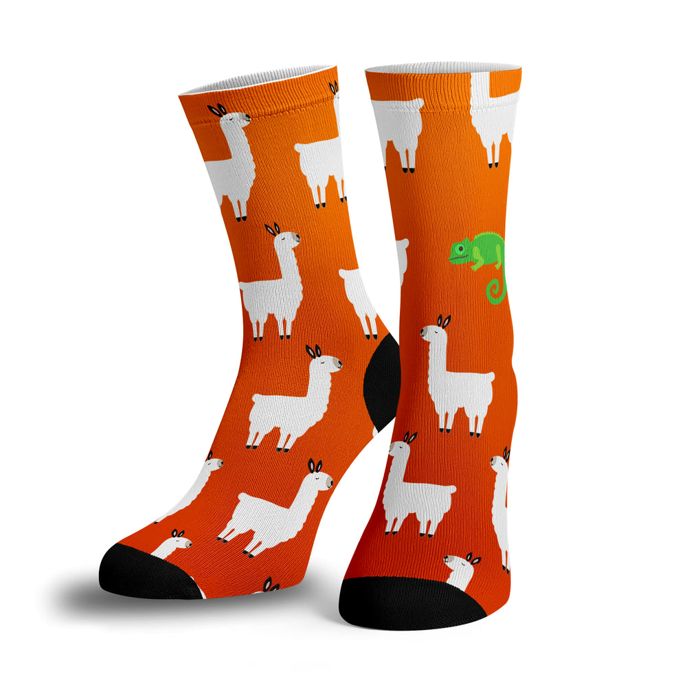 Llama Llama Chameleon Socks - BustedTees.com