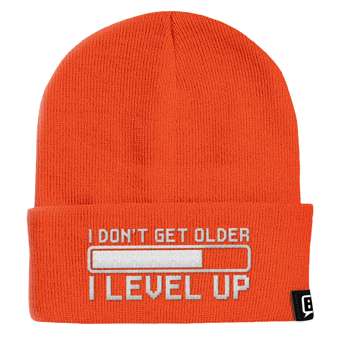 I Don't Get Older I Level Up Beanies - BustedTees.com
