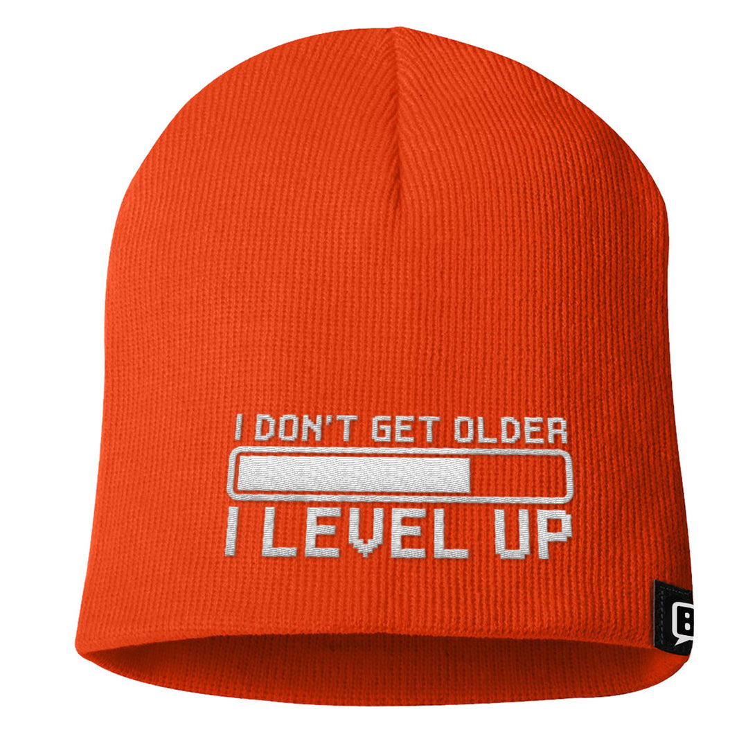 I Don't Get Older I Level Up Beanies - BustedTees.com