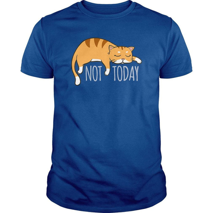 Not Today Crazy Cat - BustedTees.com