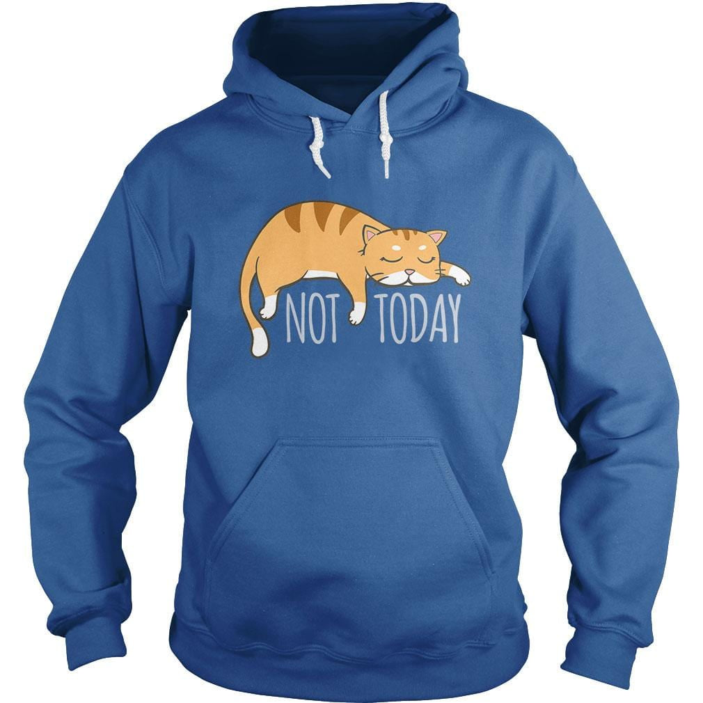 Not Today Crazy Cat - BustedTees.com