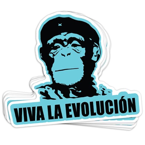 Viva La Evolucion Vinyl Sticker - BustedTees.com
