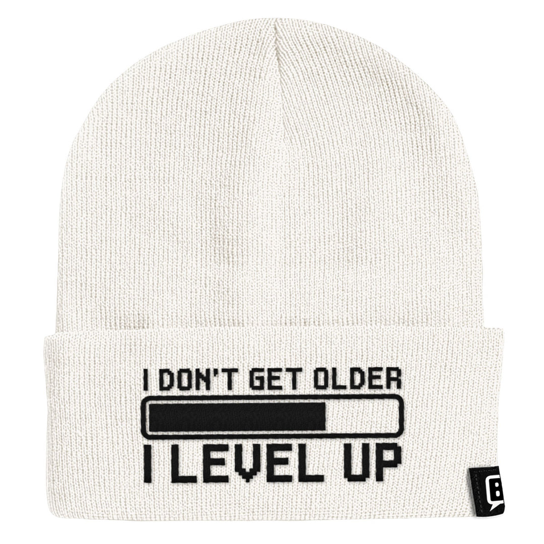 I Don't Get Older I Level Up Beanies - BustedTees.com