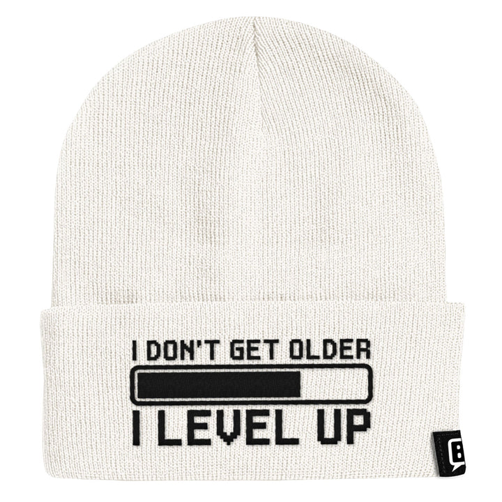 I Don't Get Older I Level Up Beanies - BustedTees.com