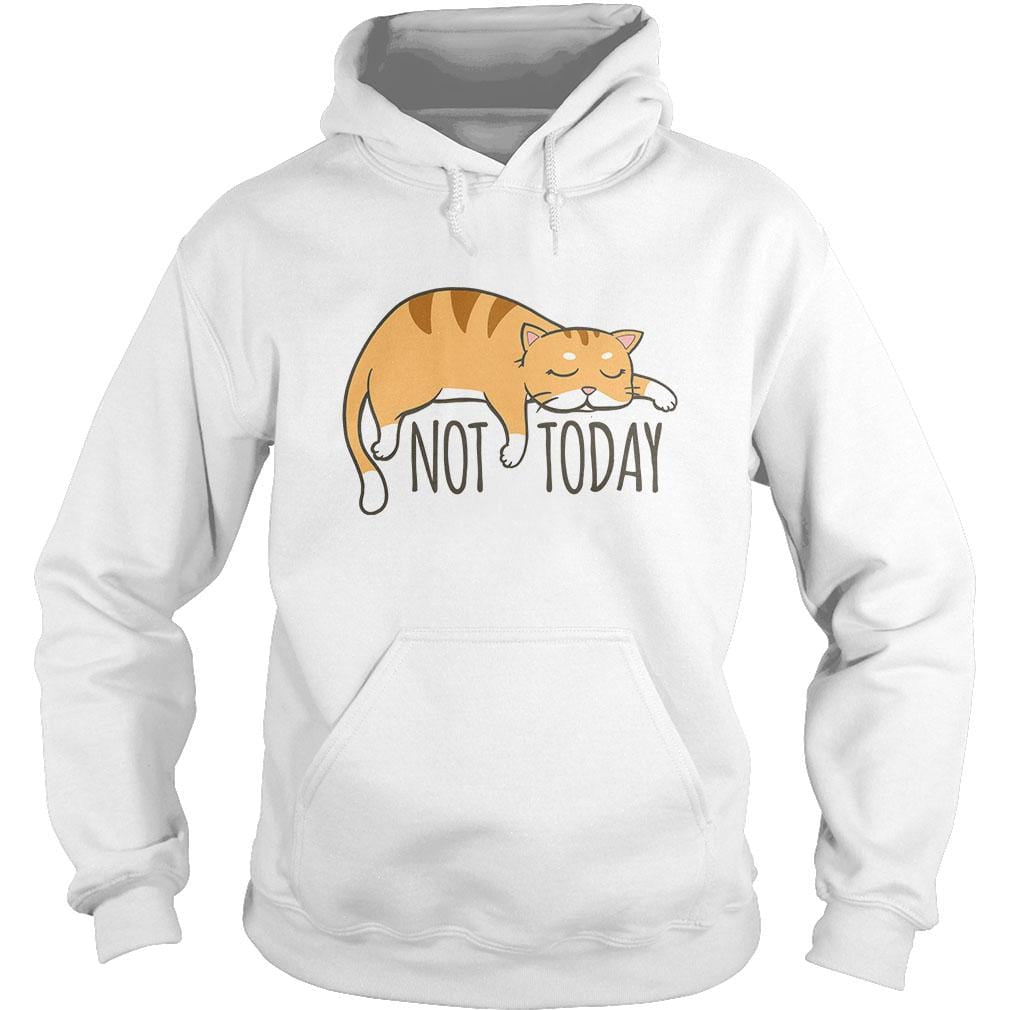 Not Today Crazy Cat - BustedTees.com