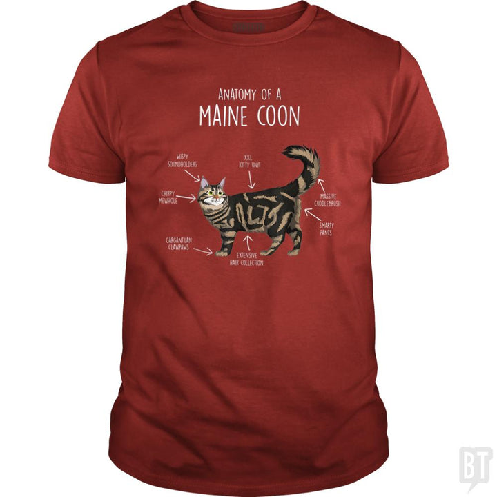 Anatomy of a Maine Coon Cat Funny Cute - BustedTees.com
