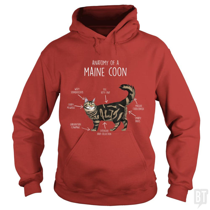 Anatomy of a Maine Coon Cat Funny Cute - BustedTees.com