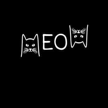 Funny Cats Meow Cat