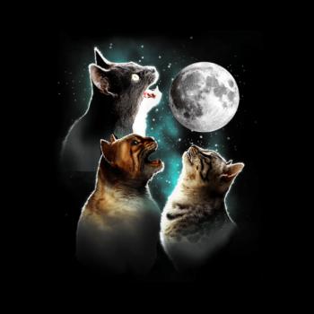 Cats Meowling At Moon