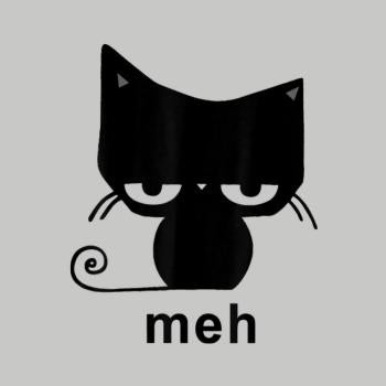Meh Black Cat Funny 