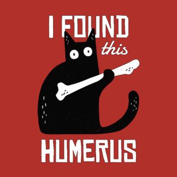 Funny Cat with a Bone