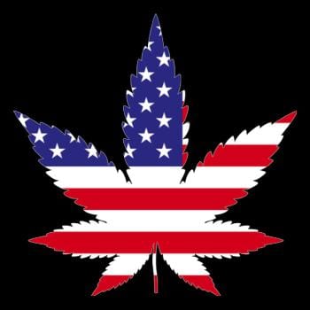 American weed