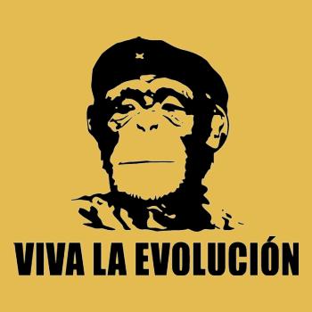 Viva La Evolucion