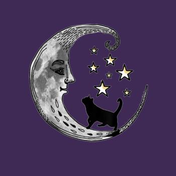 Moon and Stars with Black Cat