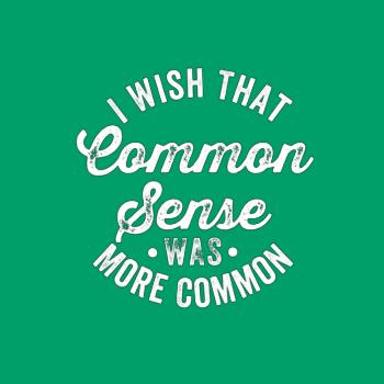 I Wish That Common Sense Was More Common Humor