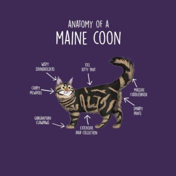 Anatomy of a Maine Coon Cat Funny Cute