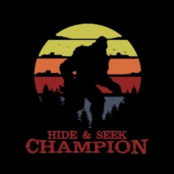 Hide And Seek Champion