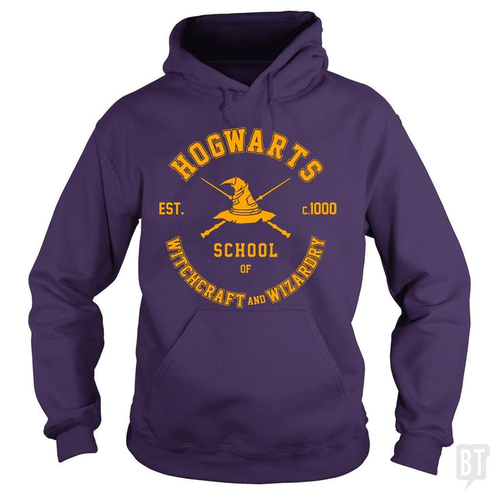 SunFrog-Busted Artpunk101 Hoodie / Purple / S Hogwarts - School of Witchcraft and Wizardry