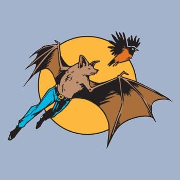 SunFrog-Busted BustedTees Bat Man and Robin