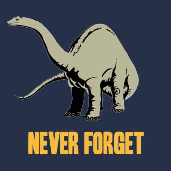 SunFrog-Busted BustedTees Never Forget