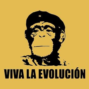 SunFrog-Busted BustedTees Viva La Evolucion