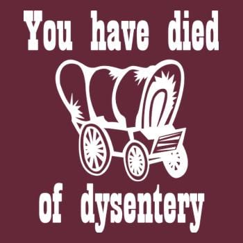 SunFrog-Busted BustedTees You Have Died of Dysentery