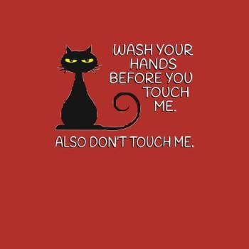 SunFrog-Busted Dwarmuth Wash Your Hands Before You Touch Me. Also Don't